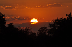 Sun Set Solitude